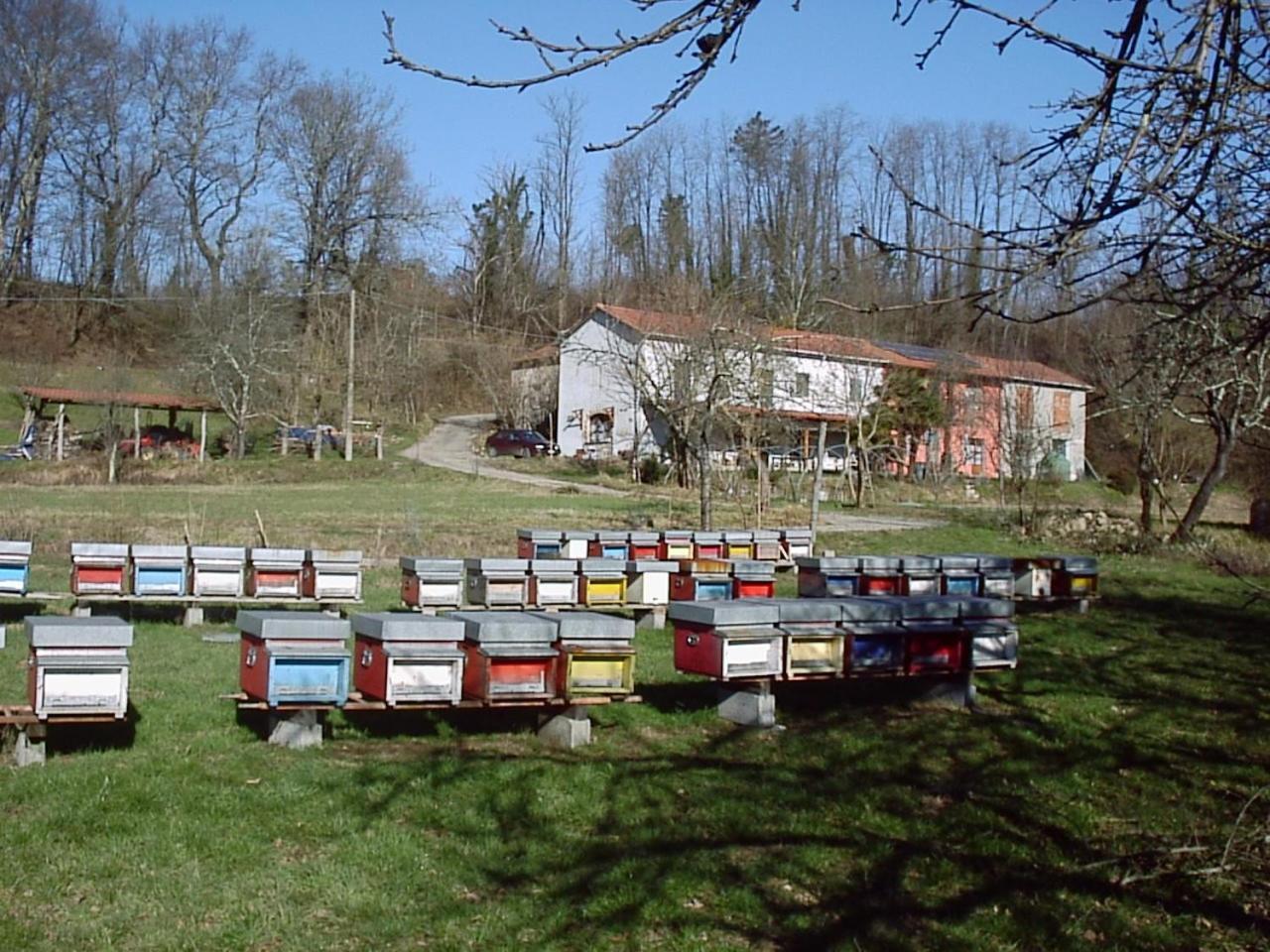 Вилла Agriturismo Ca Rossano Licciana Nardi Экстерьер фото